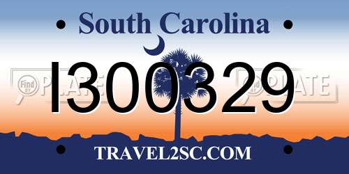 I300329 South Carolina License Plate