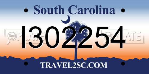 I302254 South Carolina License Plate