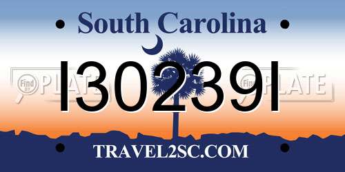I30239I South Carolina License Plate