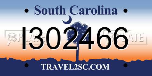 I302466 South Carolina License Plate