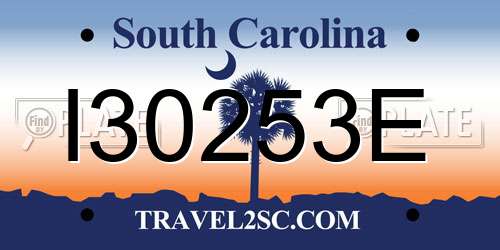 I30253E South Carolina License Plate