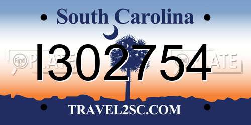 I302754 South Carolina License Plate