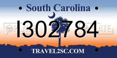 I302784 South Carolina License Plate