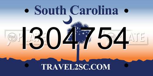 I304754 South Carolina License Plate