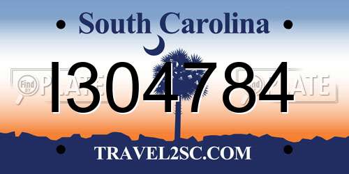 I304784 South Carolina License Plate
