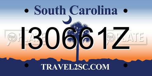 I30661Z South Carolina License Plate