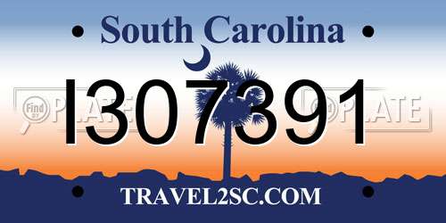 I307391 South Carolina License Plate