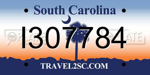 I307784 South Carolina License Plate