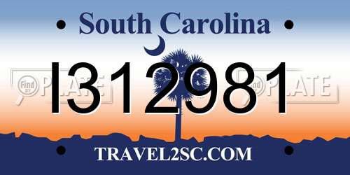 I312981 South Carolina License Plate