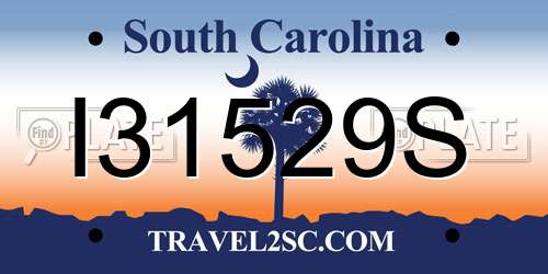 I31529S South Carolina License Plate