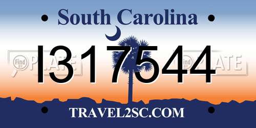I317544 South Carolina License Plate