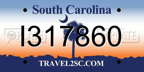 I317860 South Carolina License Plate
