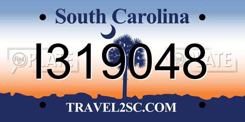 I319048 South Carolina License Plate