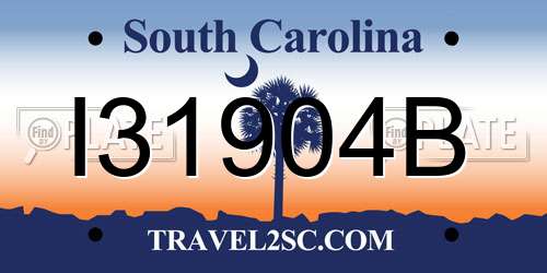 I31904B South Carolina License Plate