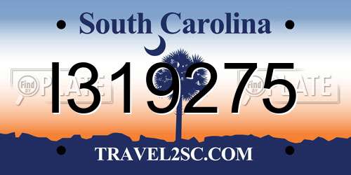 I319275 South Carolina License Plate