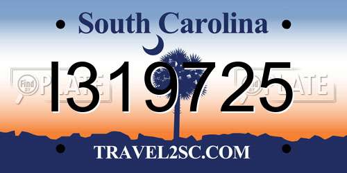 I319725 South Carolina License Plate