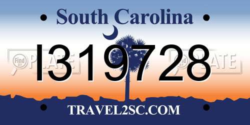 I319728 South Carolina License Plate