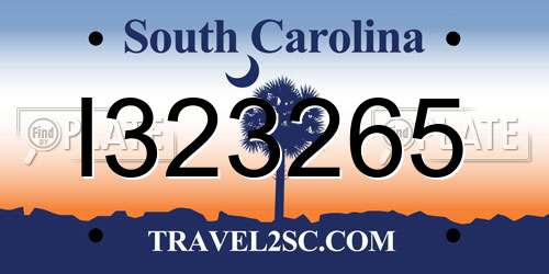 I323265 South Carolina License Plate