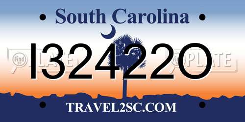 I32422O South Carolina License Plate