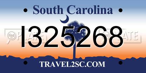 I325268 South Carolina License Plate