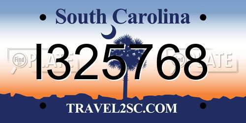 I325768 South Carolina License Plate