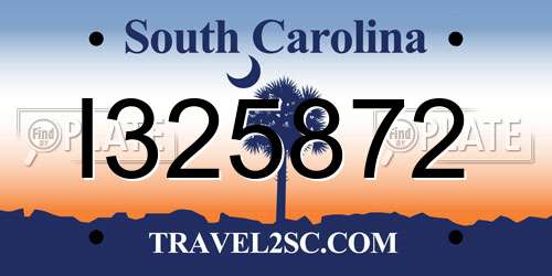 I325872 South Carolina License Plate