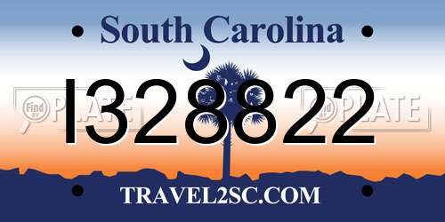 I328822 South Carolina License Plate