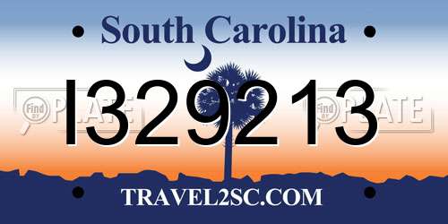 I329213 South Carolina License Plate