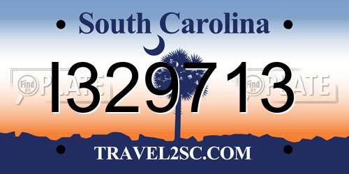 I329713 South Carolina License Plate