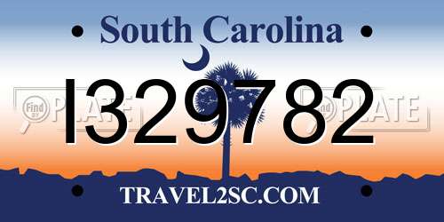 I329782 South Carolina License Plate