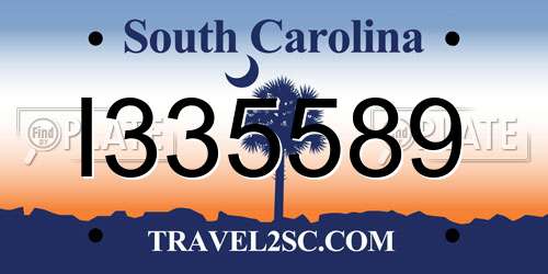 I335589 South Carolina License Plate