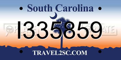 I335859 South Carolina License Plate
