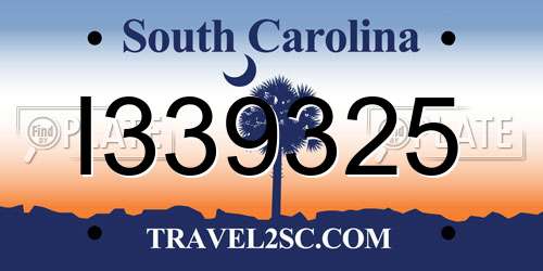 I339325 South Carolina License Plate