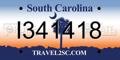 I341418 South Carolina License Plate