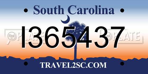 I365437 South Carolina License Plate