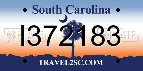 I372183 South Carolina License Plate