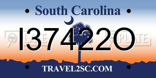 I37422O South Carolina License Plate