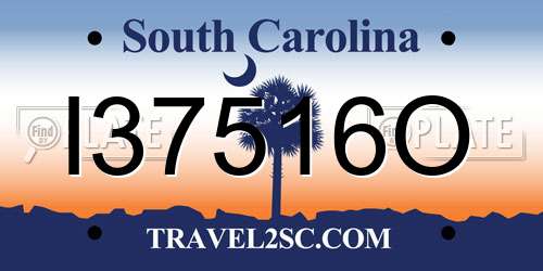 I37516O South Carolina License Plate