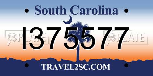 I375577 South Carolina License Plate