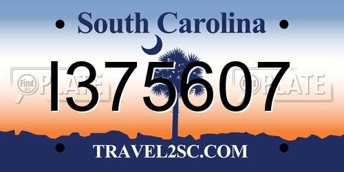 I375607 South Carolina License Plate