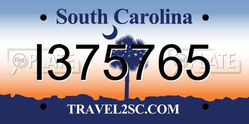 I375765 South Carolina License Plate