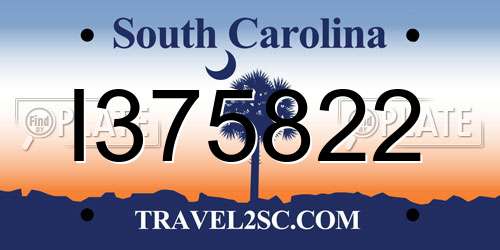 I375822 South Carolina License Plate