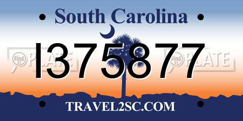 I375877 South Carolina License Plate