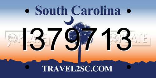 I379713 South Carolina License Plate