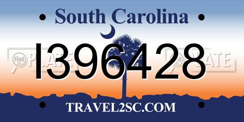I396428 South Carolina License Plate
