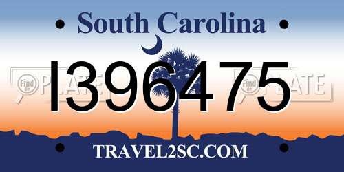 I396475 South Carolina License Plate