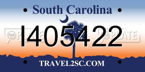 I405422 South Carolina License Plate