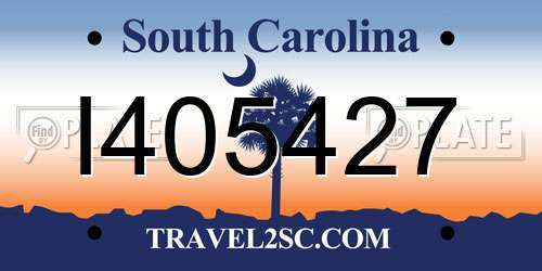 I405427 South Carolina License Plate