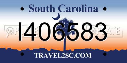 I406583 South Carolina License Plate