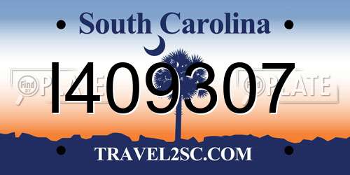 I409307 South Carolina License Plate